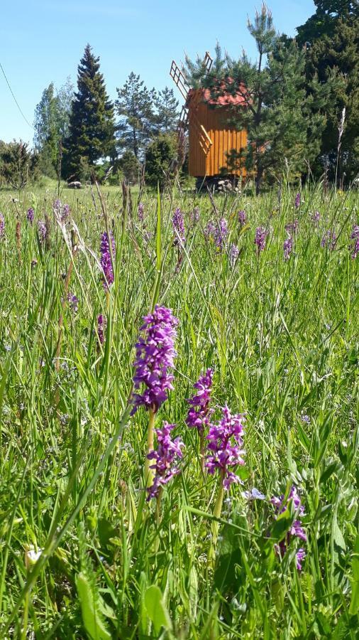 Sihi Country House Hiievalja Buitenkant foto